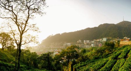 Ảnh của “TRỐN NÓNG” VỚI NHỮNG ĐỊA ĐIỂM NGAY GẦN HÀ NỘI